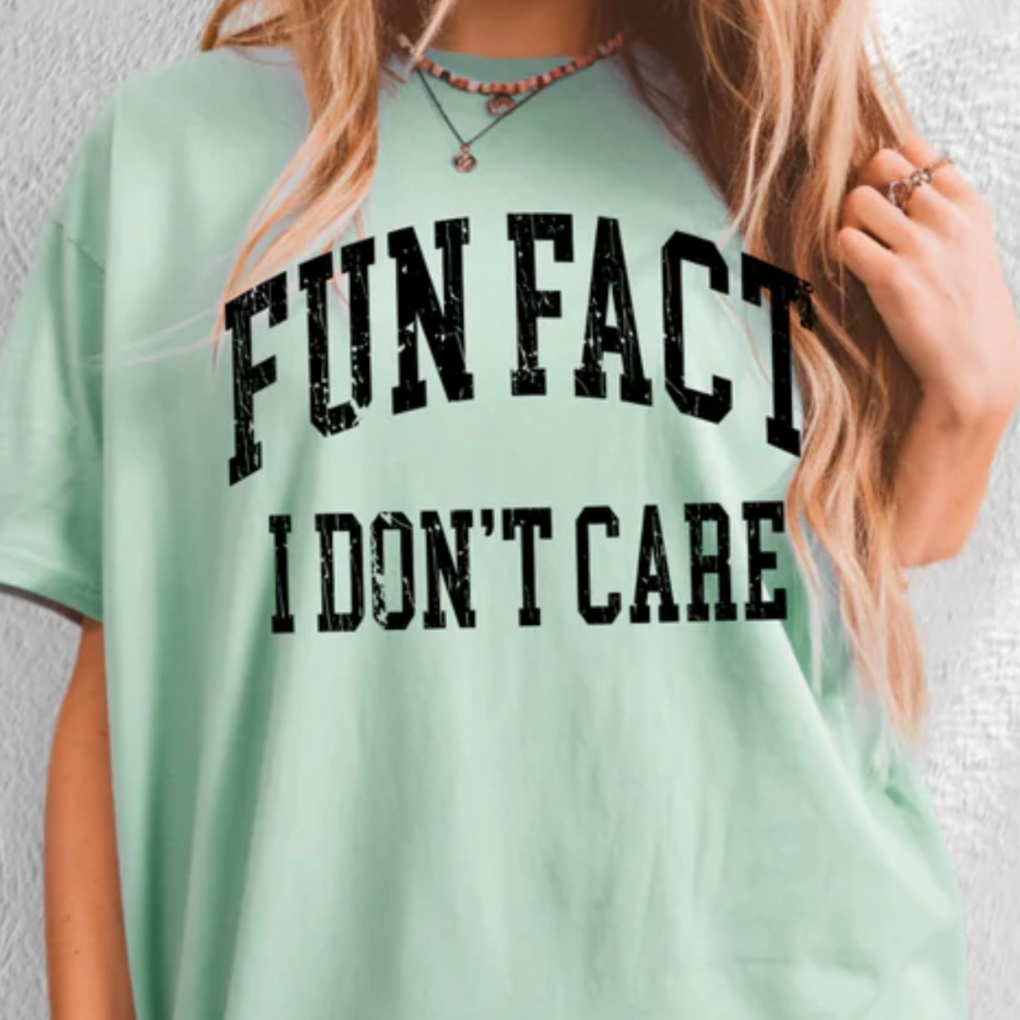 Single Color Screen Print - Fun Fact I Don't Care