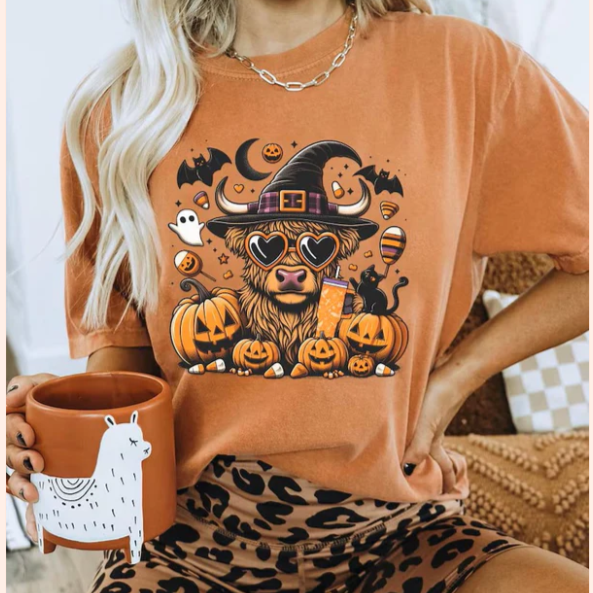Halloween Highland Cow Witch RTS Glitter Clear Film Screen Print
